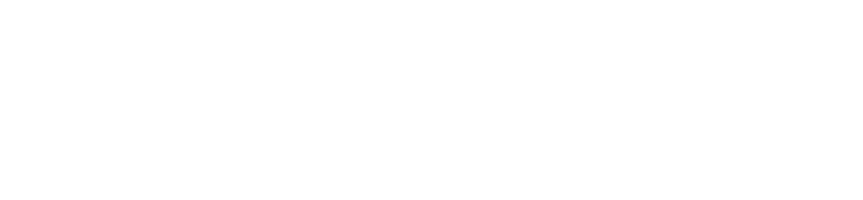 Apollo Instal Holding
